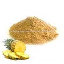 Spray Dried Pineapple Powder Exporter